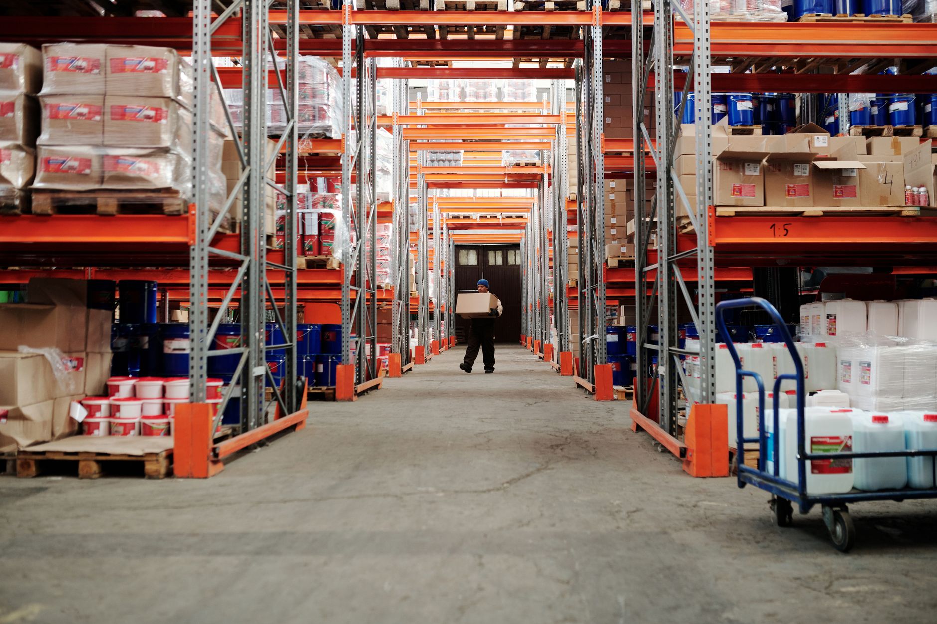 DHL operations showcasing international cargo terminals and logistics